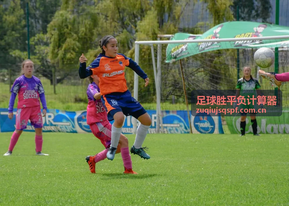 联赛胜平负分布样本对比
